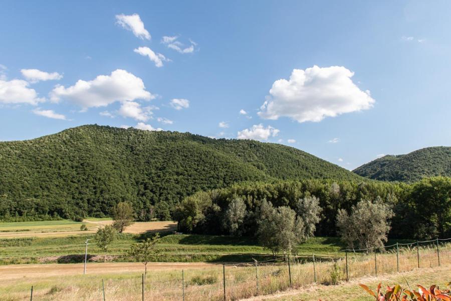 Il Colombaio Agriturismo Montegabbione Eksteriør billede