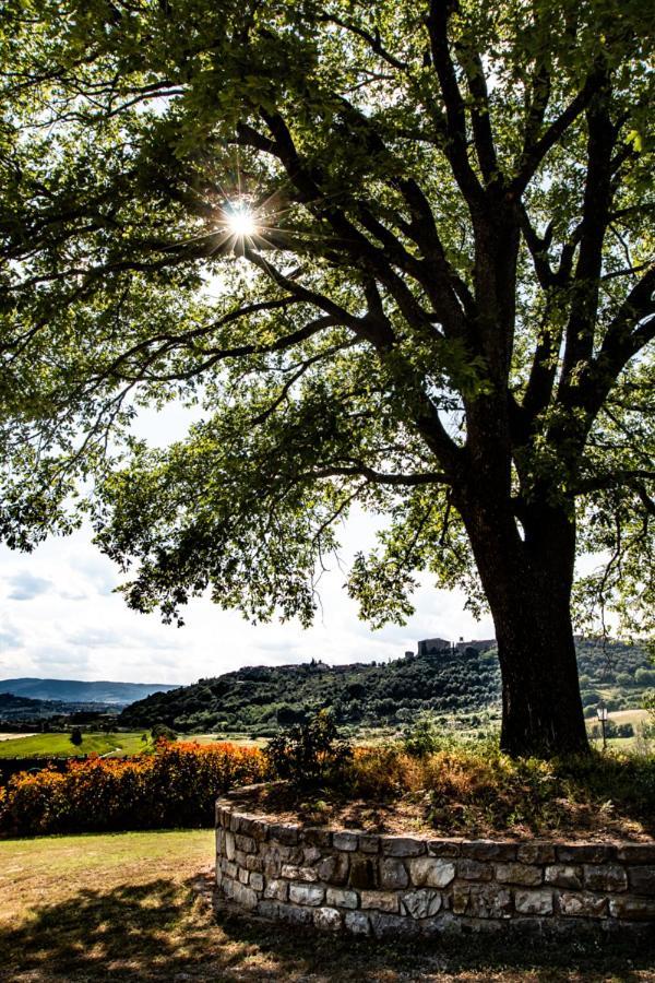 Il Colombaio Agriturismo Montegabbione Eksteriør billede