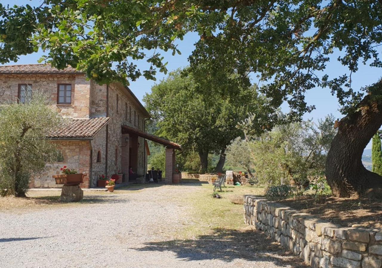 Il Colombaio Agriturismo Montegabbione Eksteriør billede